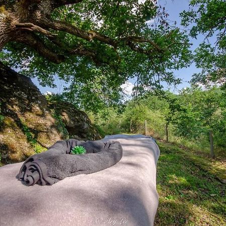 Willa Gite Du Mont Plaisir Chouvigny Zewnętrze zdjęcie