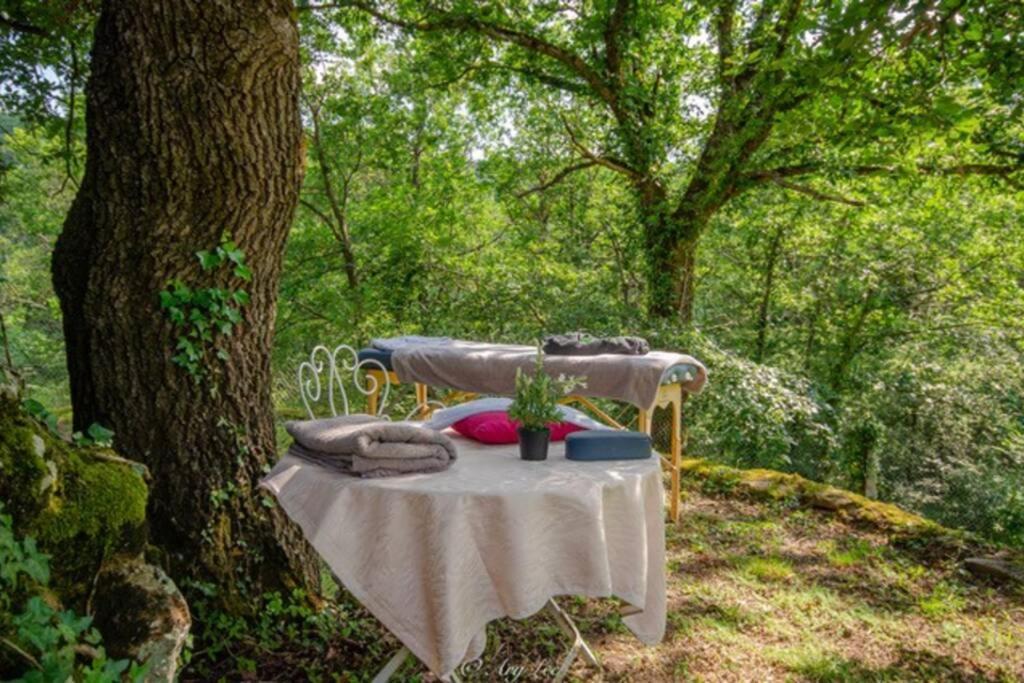 Willa Gite Du Mont Plaisir Chouvigny Zewnętrze zdjęcie